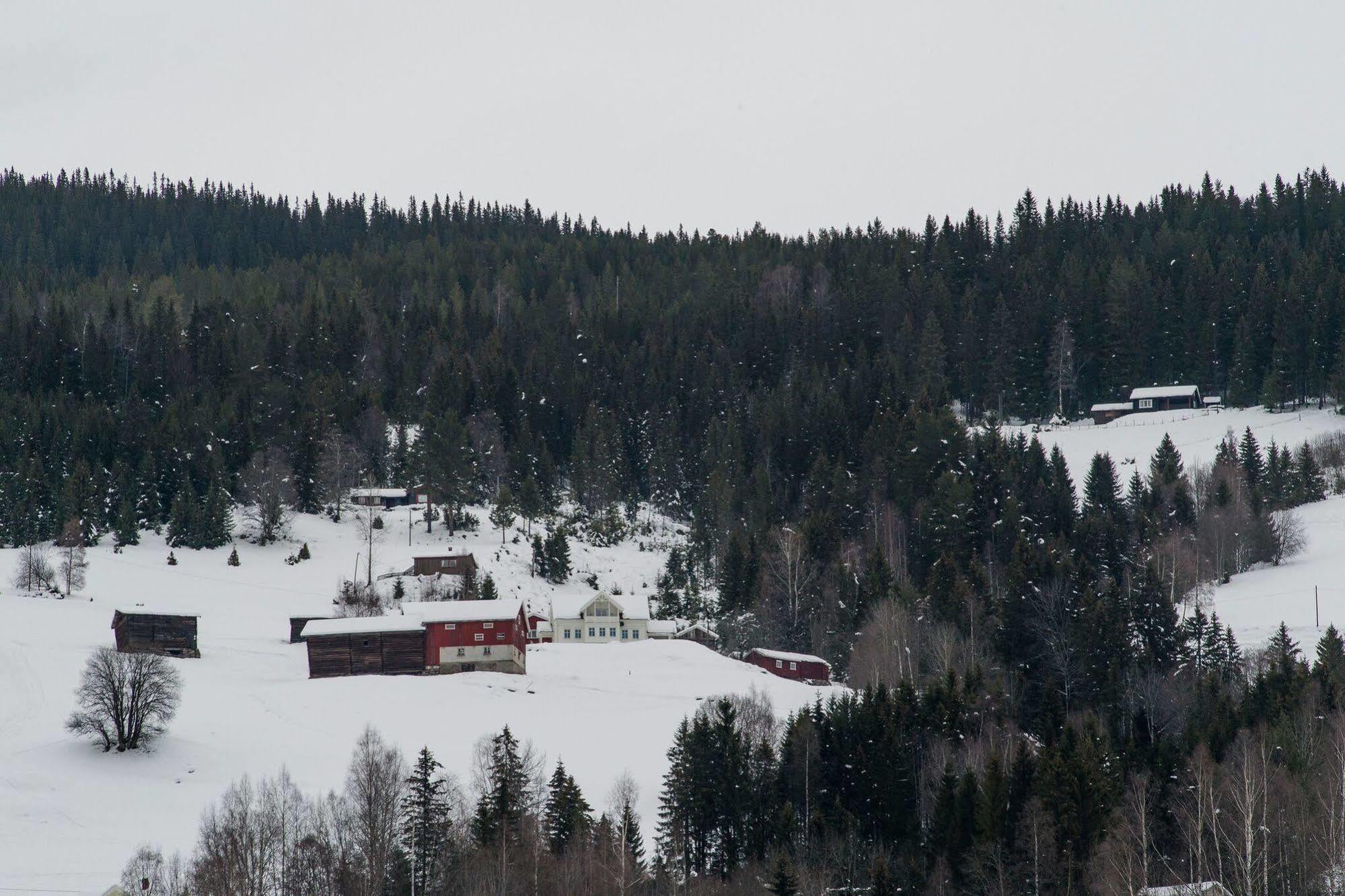 Hotel Eggedal Borgerstue Esterno foto